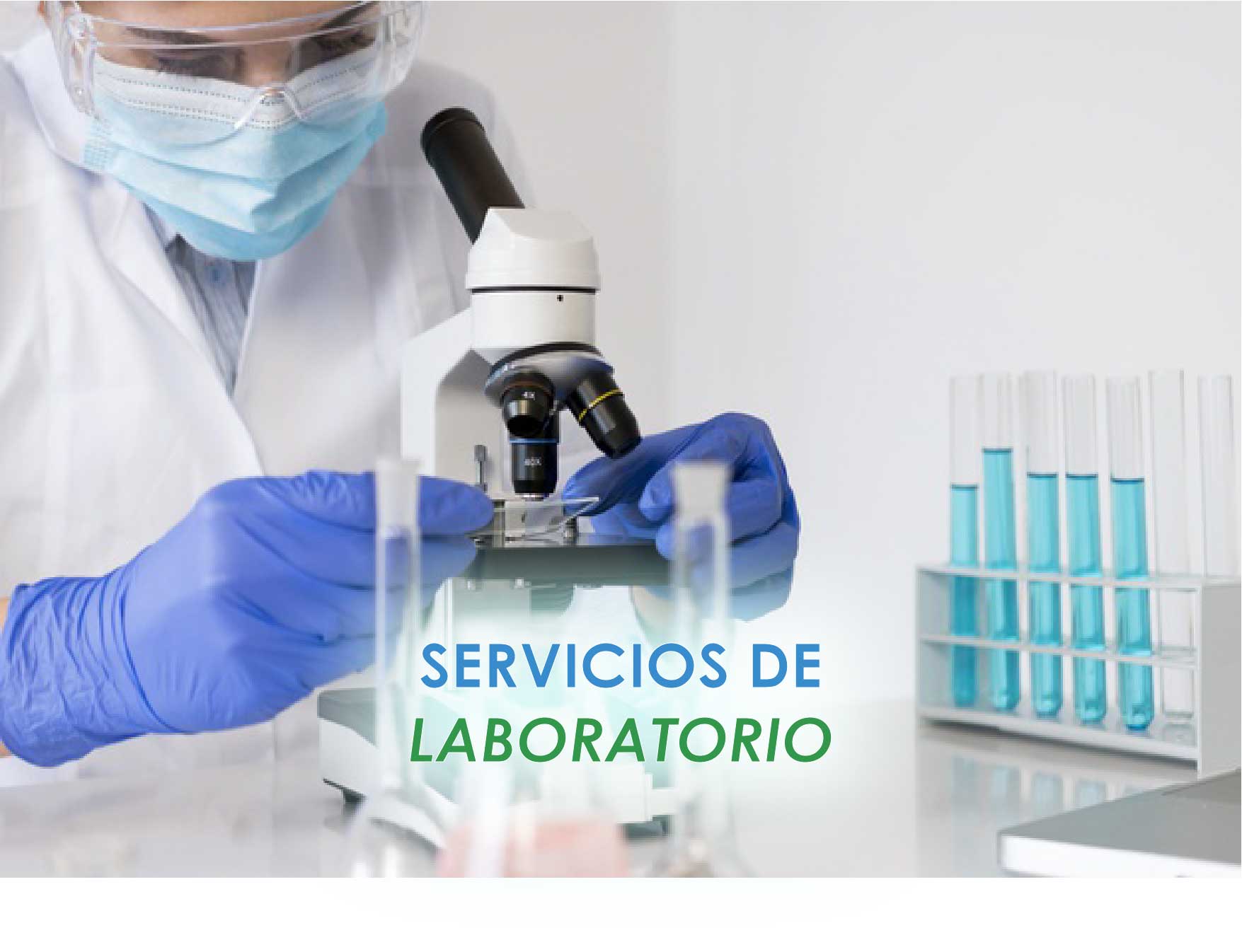 Microscopio